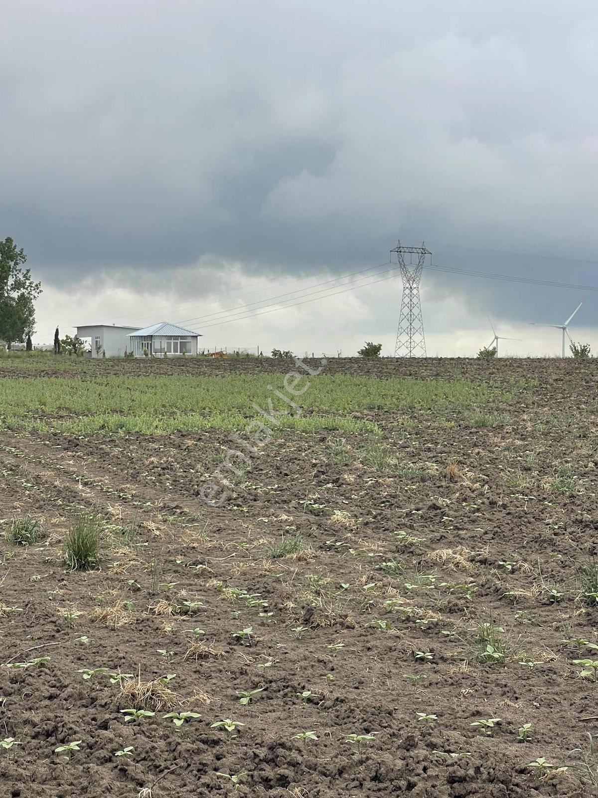 Delfa Yapı İnşaat Tan Satılık Tek Tapu Tarla İmara Yakın 7.118m2 - Görsel 3