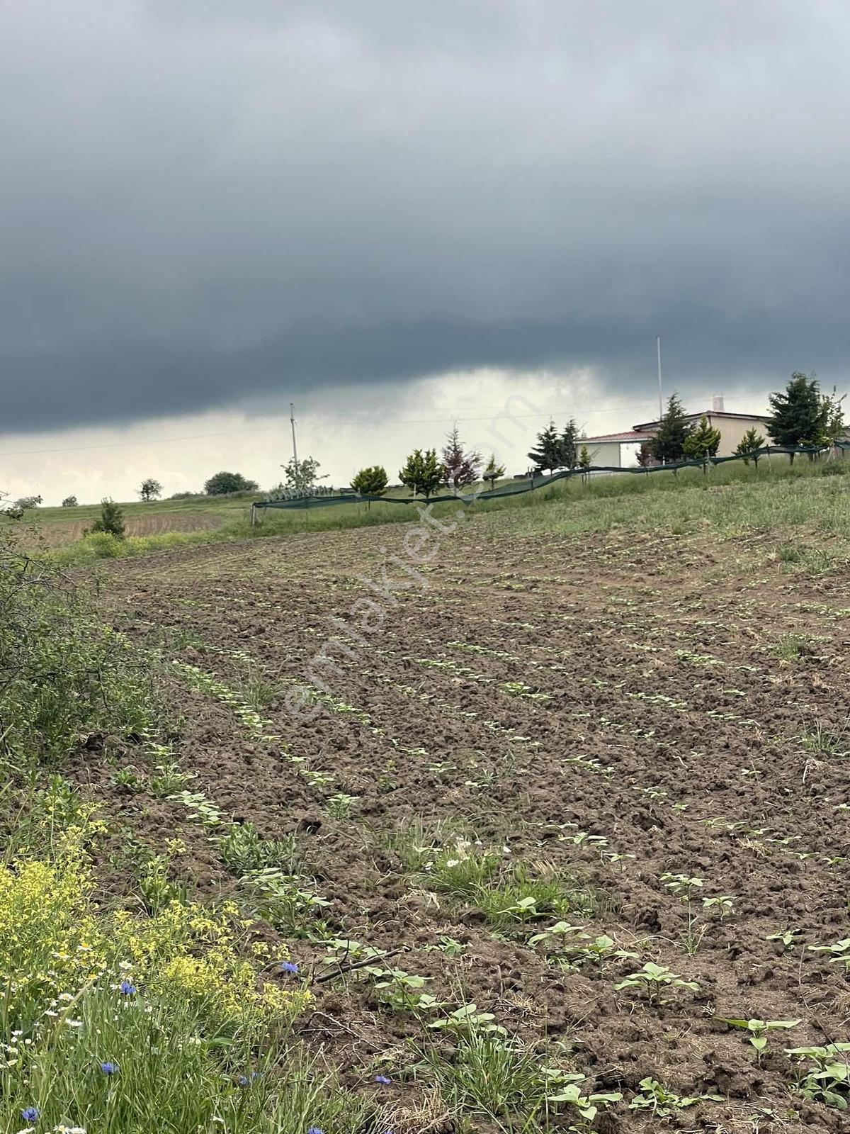 Delfa Yapı İnşaat Tan Satılık Tek Tapu Tarla İmara Yakın 7.118m2 - Görsel 2