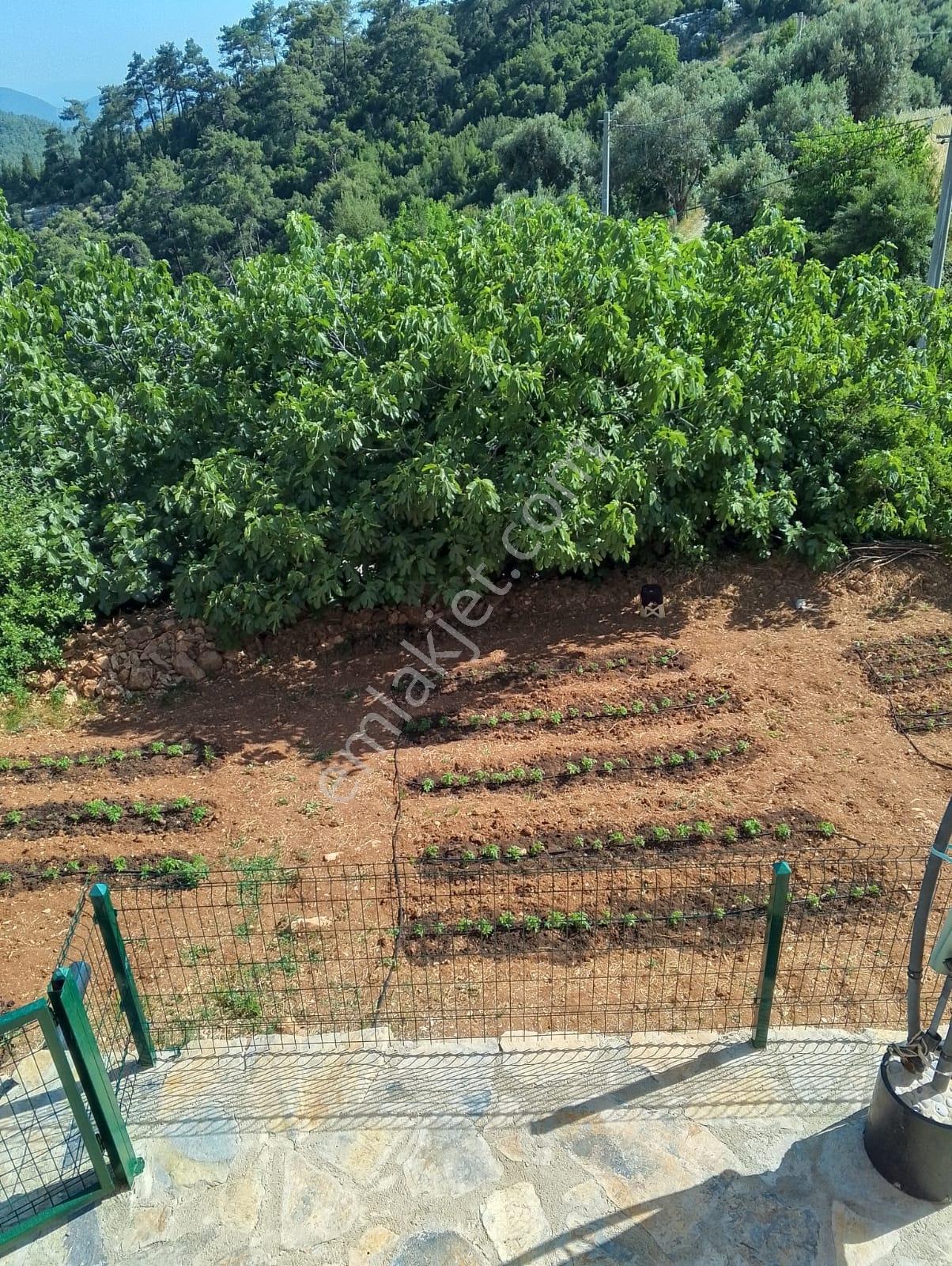 1176 M2 Bahçe İçinde Resmi Tapu Kayıtlı İki Katlı Müstakil Villa - Görsel 18