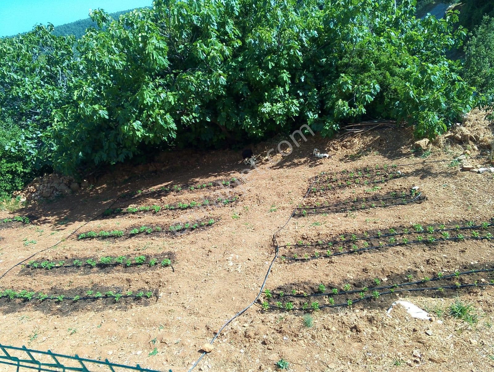 1176 M2 Bahçe İçinde Resmi Tapu Kayıtlı İki Katlı Müstakil Villa - Görsel 10