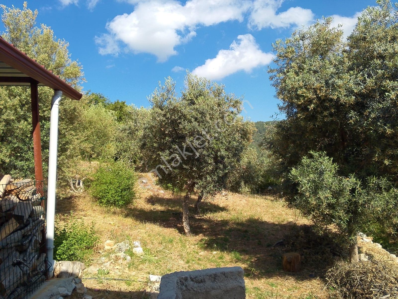 1176 M2 Bahçe İçinde Resmi Tapu Kayıtlı İki Katlı Müstakil Villa - Görsel 12