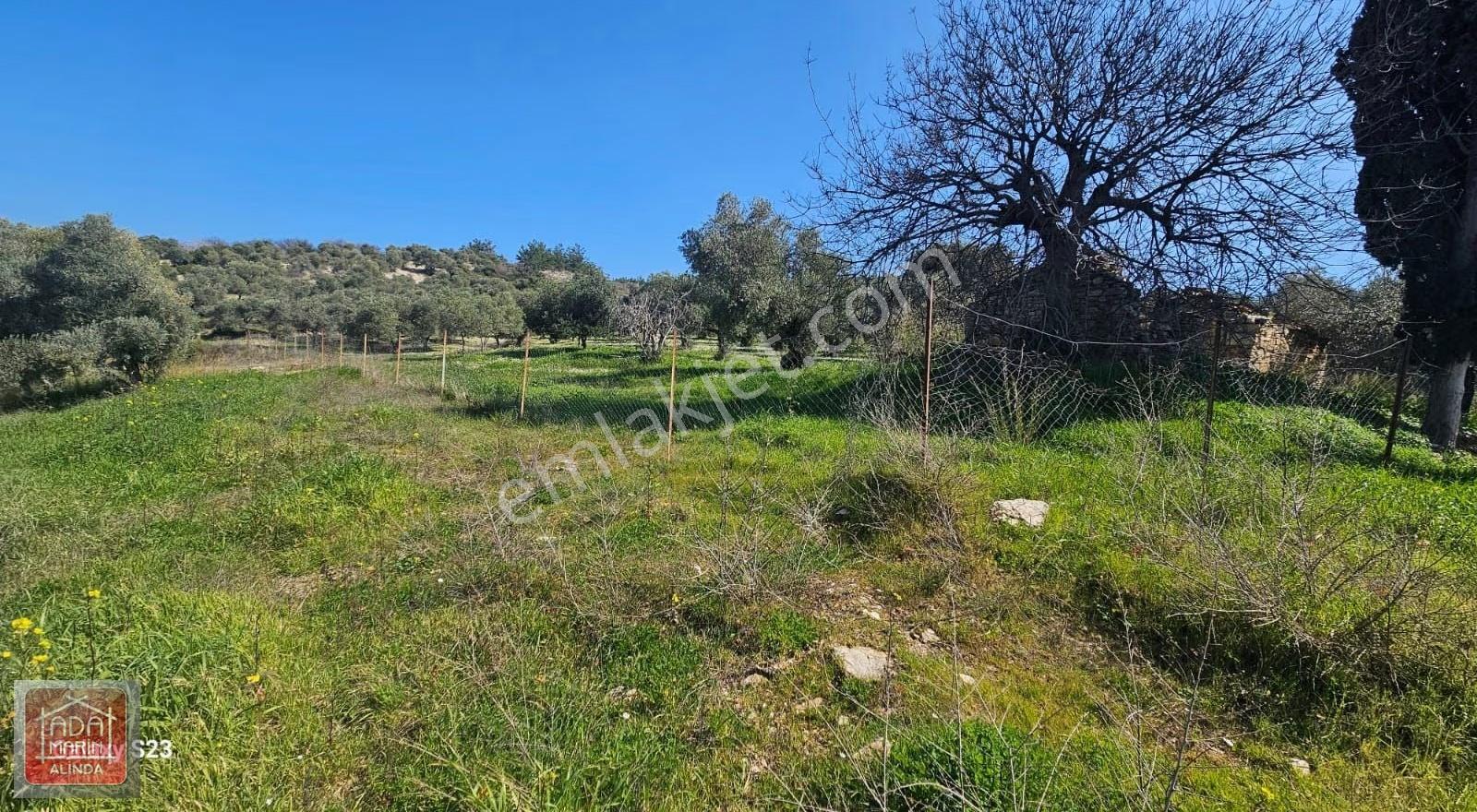 Kuşadasında Full Deniz Manzaralı İmara Yakın Satılık Arazi - Görsel 17