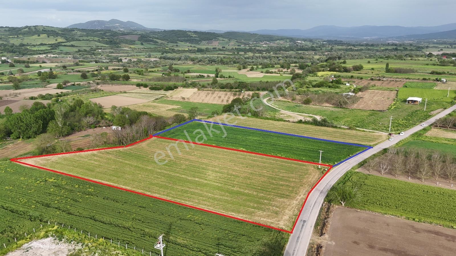 Mustafakemalpaşa Yalıntaş Mahallesi 9400 M2 Tarla - Görsel 2