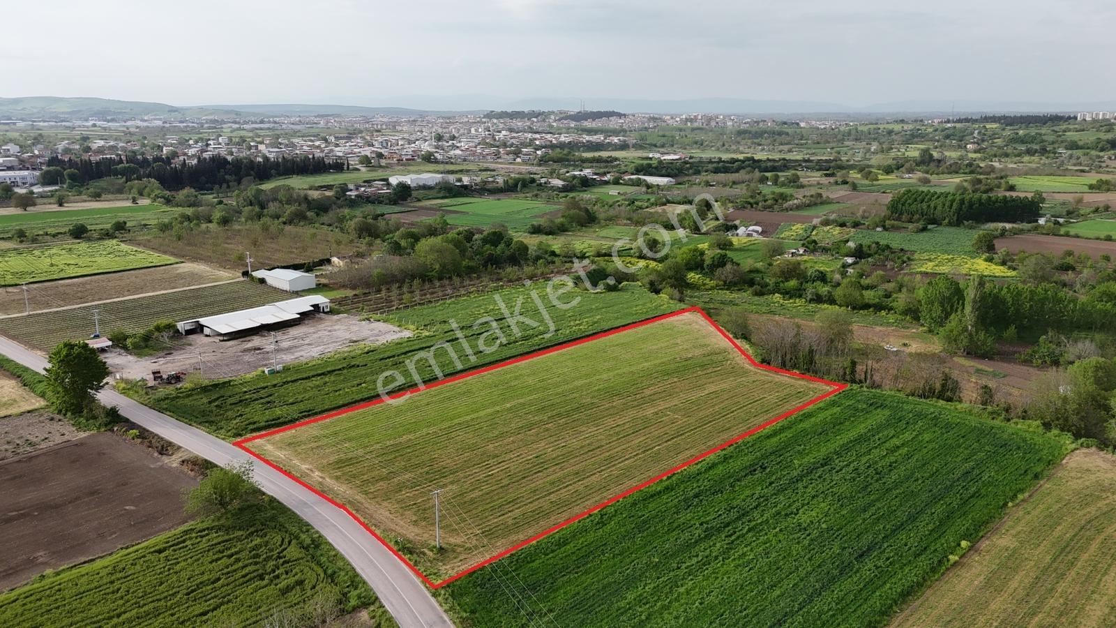 Mustafakemalpaşa Yalıntaş Mahallesi 9400 M2 Tarla - Görsel 7