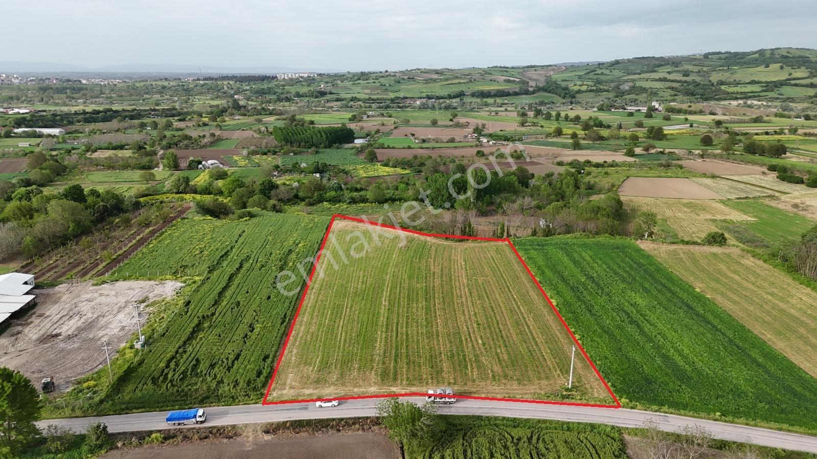 Mustafakemalpaşa Yalıntaş Mahallesi 9400 M2 Tarla - Görsel 5