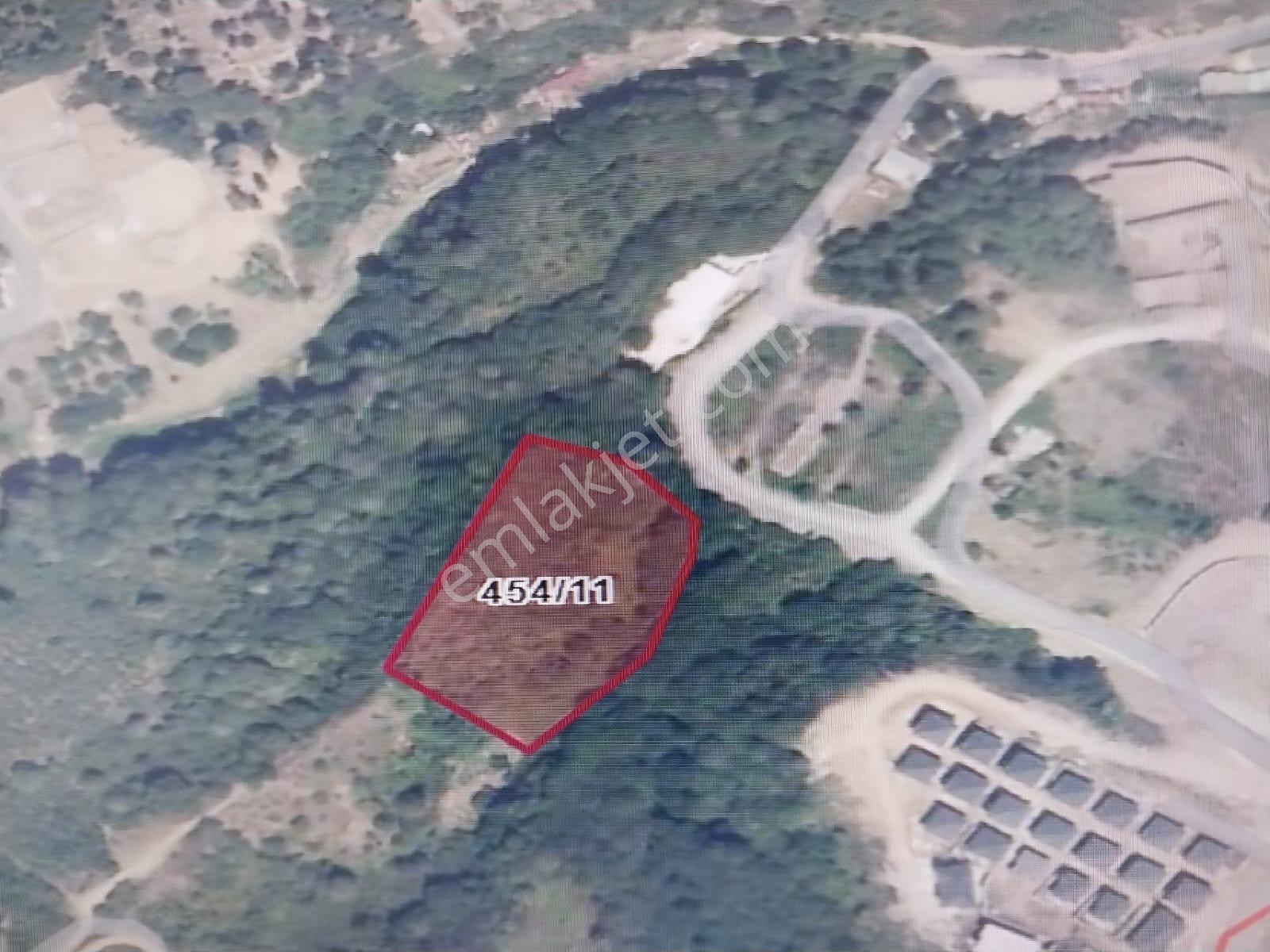 Kocaeli Gölcük Yunus Emre Mahallesi Satılık 6783 M² Fındıklık Arazi - Görsel 3