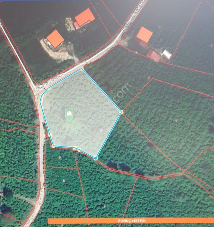 Teyneli Mah. 2054 M2 Köşebaşı Tamamı Düz Olan Fındık Bahçesi Satılıktır - Görsel 2
