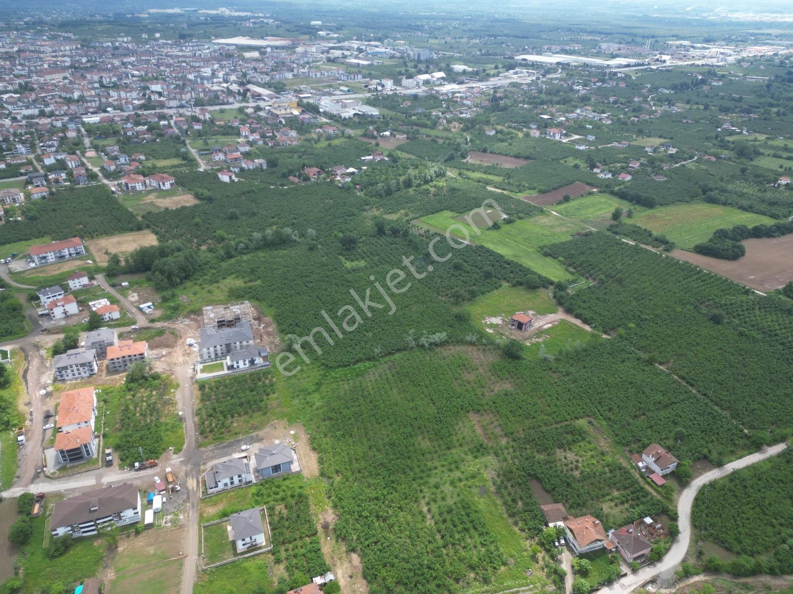 Sakarya Hendek Merkezde 2305m² 3 Kat İmarlı 3 Cephe Satılık Arsa - Görsel 9