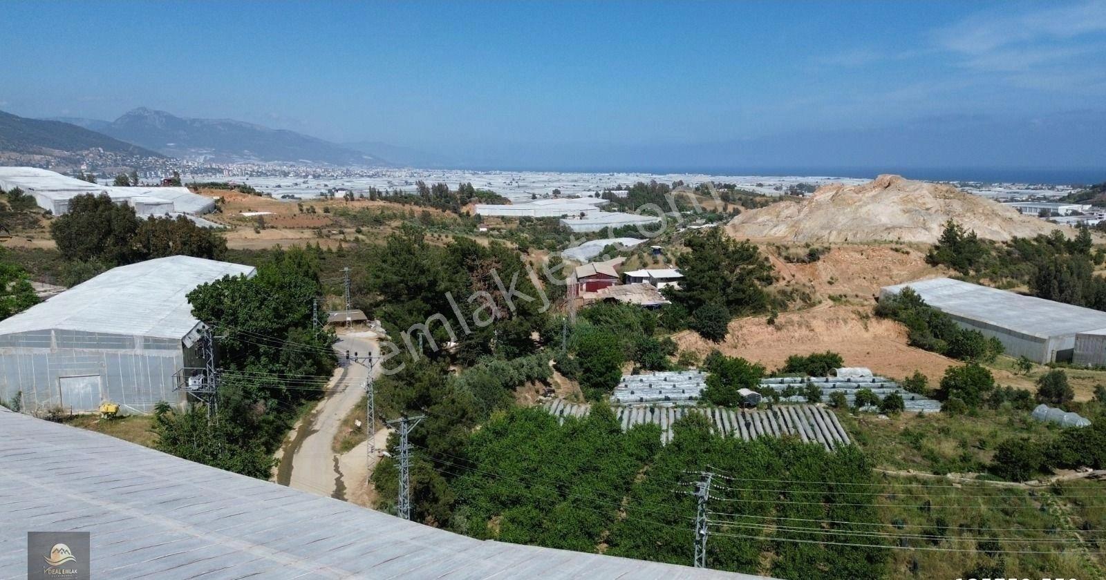 Ören/ortaköy'de Yeni Toki Yanı Satılık Müstakil Sera - Görsel 15