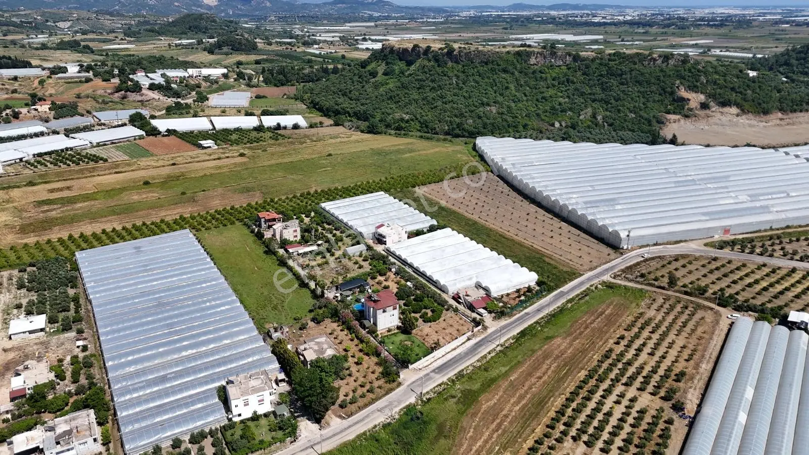 Antalya Serik Üründü Mahallesinde 5139 M2 Hisseli Tarla - Görsel 5