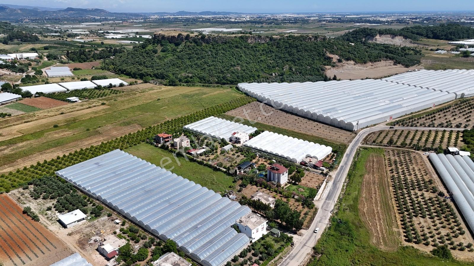 Antalya Serik Üründü Mahallesinde 5139 M2 Hisseli Tarla - Görsel 6