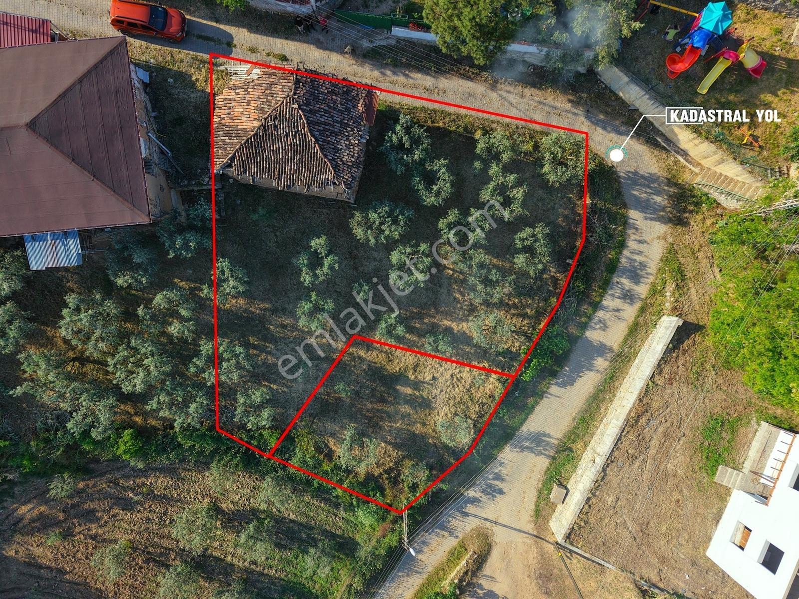 Ömerli'de İçinde Ahır Veytin Ağaçları Olan 500 M2 İmarlı Arsa
