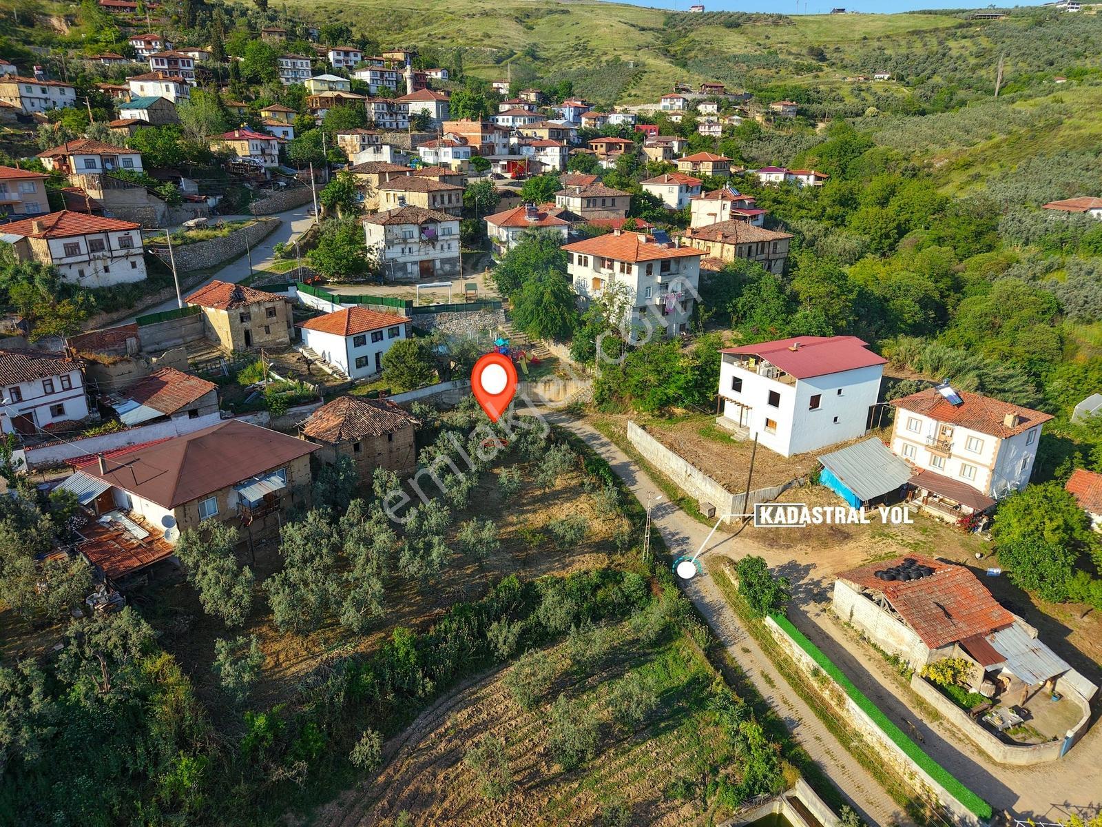 Ömerli'de İçinde Ahır Veytin Ağaçları Olan 500 M2 İmarlı Arsa - Görsel 5