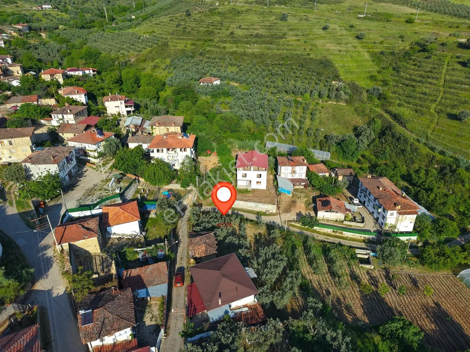 Ömerli'de İçinde Ahır Veytin Ağaçları Olan 500 M2 İmarlı Arsa - Görsel 3