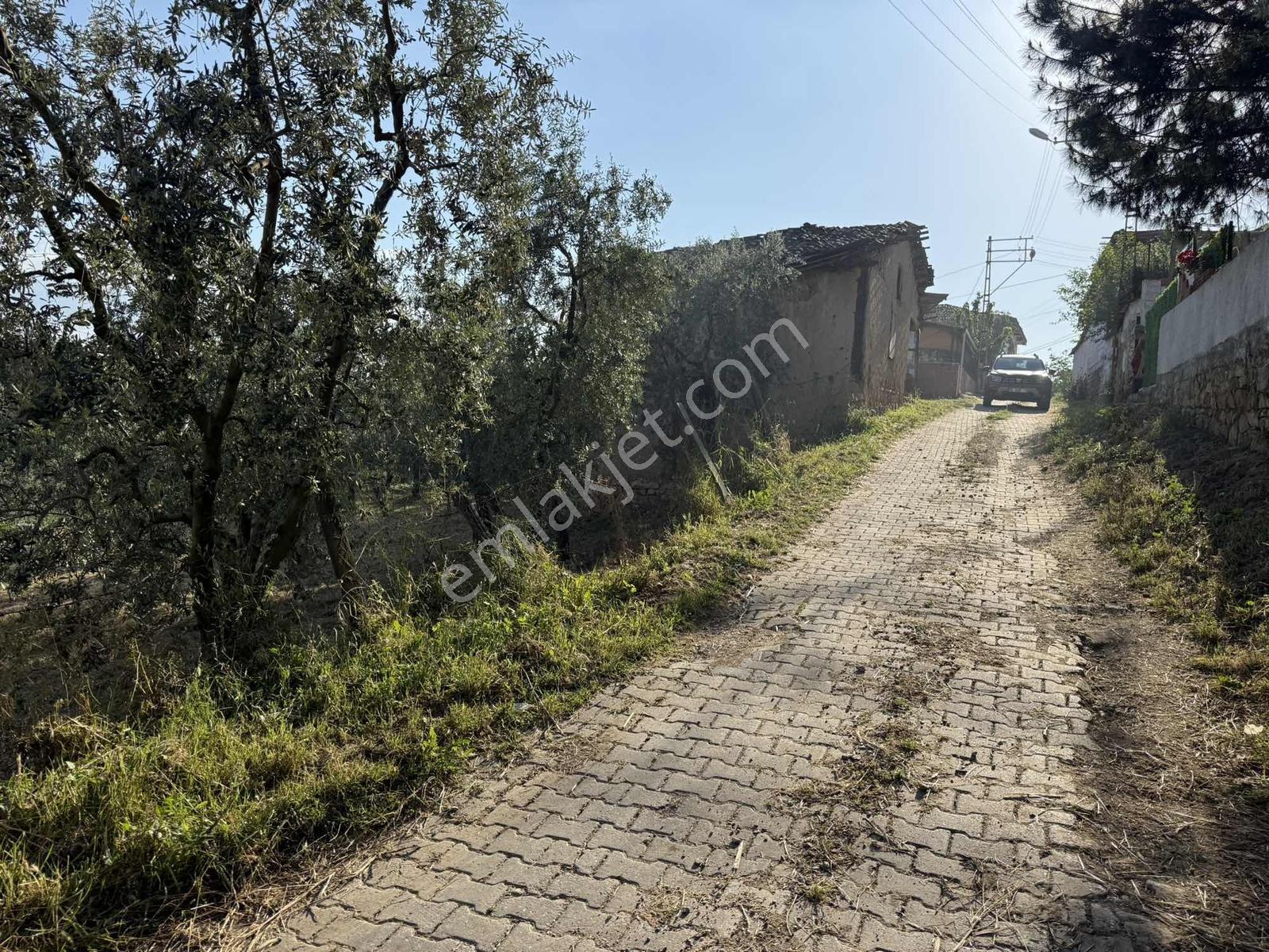 Ömerli'de İçinde Ahır Veytin Ağaçları Olan 500 M2 İmarlı Arsa - Görsel 20