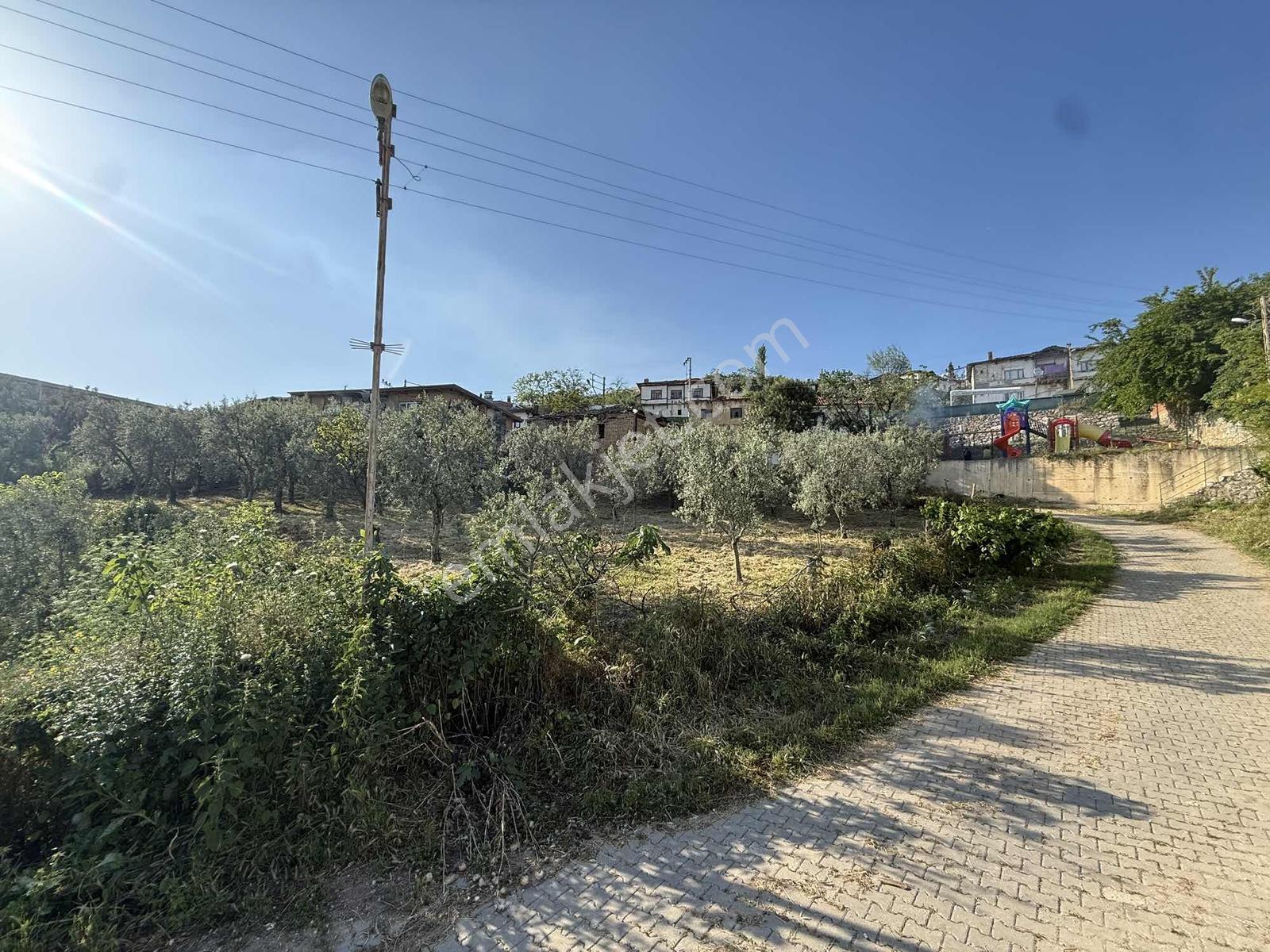 Ömerli'de İçinde Ahır Veytin Ağaçları Olan 500 M2 İmarlı Arsa - Görsel 19