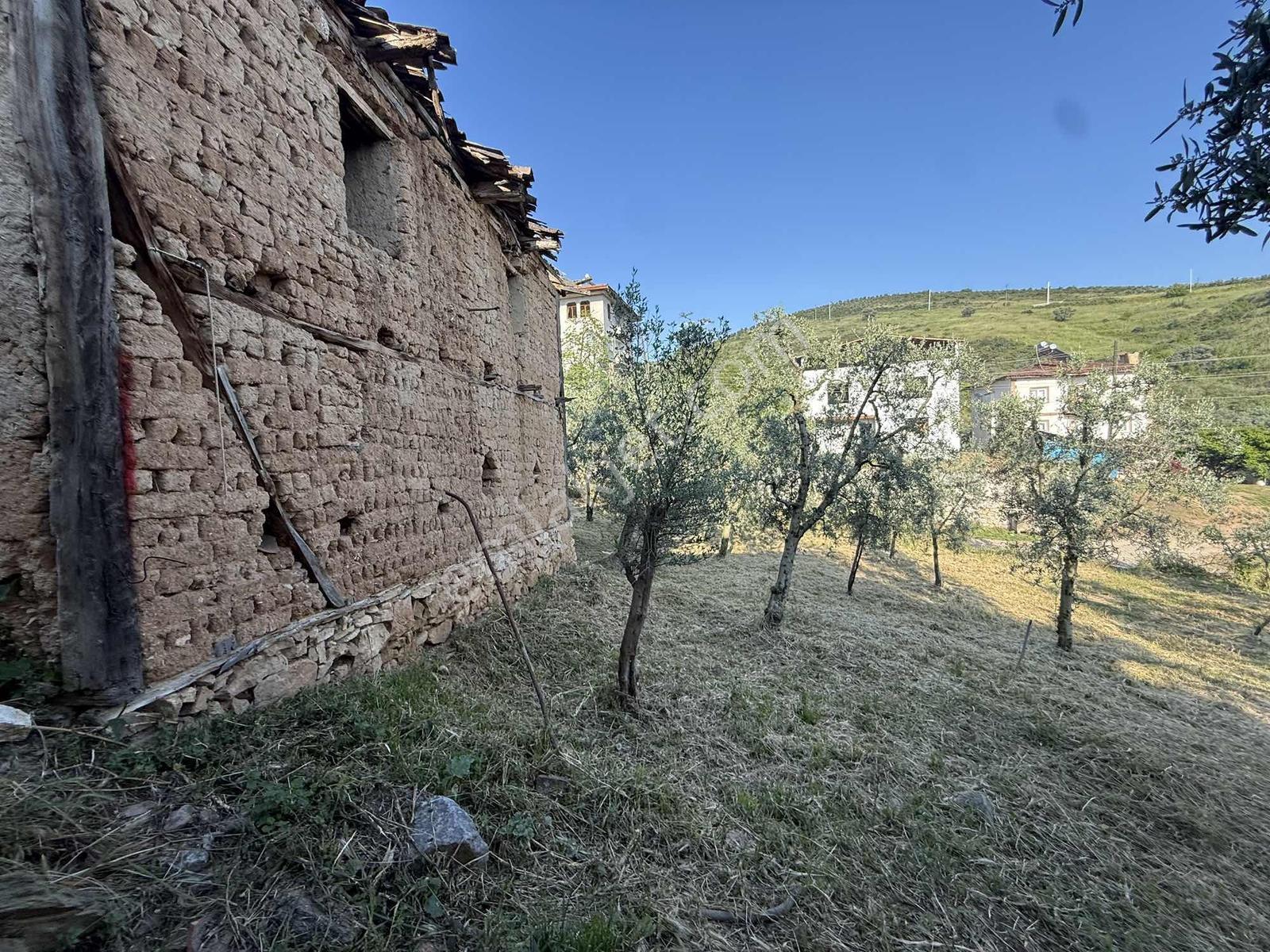 Ömerli'de İçinde Ahır Veytin Ağaçları Olan 500 M2 İmarlı Arsa - Görsel 33