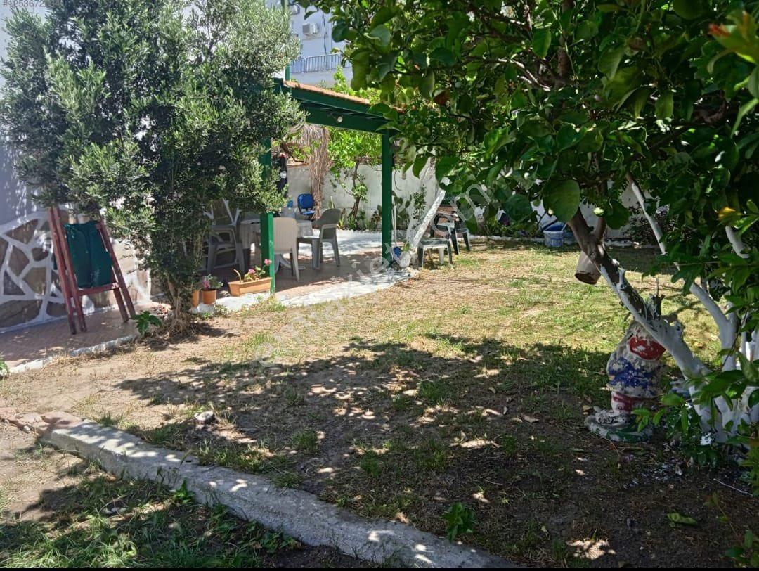 Alaçatıda Sezonluk Kiralık 3+1 Müstakil Villa - Görsel 11