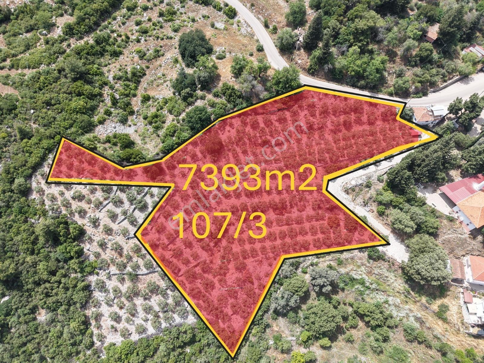 Bmk'dan Kumluca Olympos Yazır'da Köyiçi İmarlı 7 Dönüm Tarla - Görsel 9