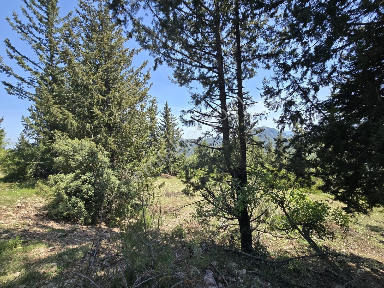 Kemer Beycikte İmarlı Arsa - Görsel 4