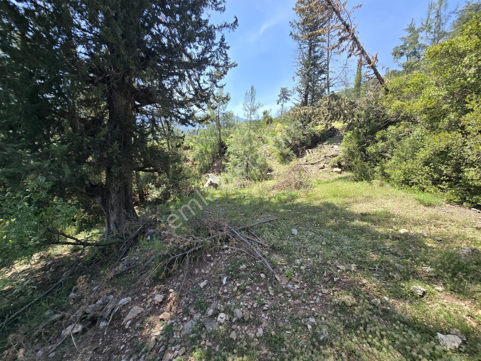 Kemer Beycikte İmarlı Arsa - Görsel 9