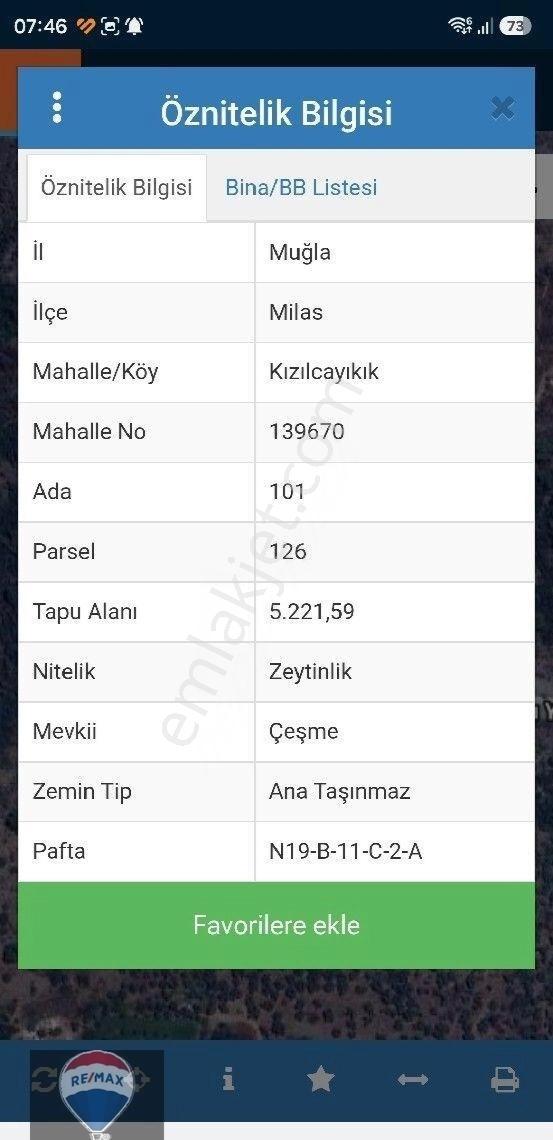 Milas Kızılcayıkık’ta Yol Cepheli 5.221 M² Manzaralı Zeytinlik