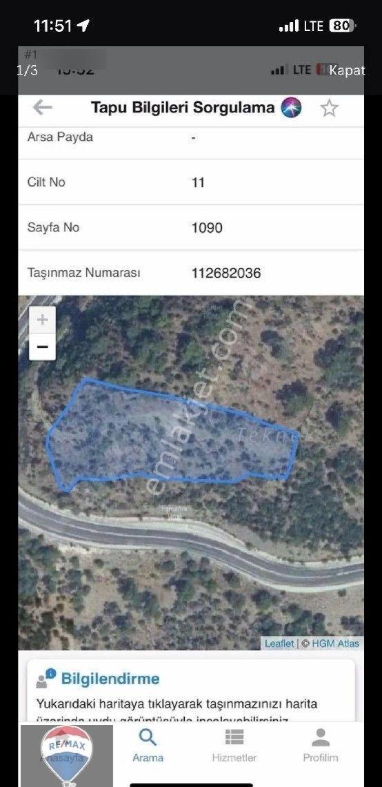 Milas Kızılcayıkık’ta Yol Cepheli 5.221 M² Manzaralı Zeytinlik - Görsel 4