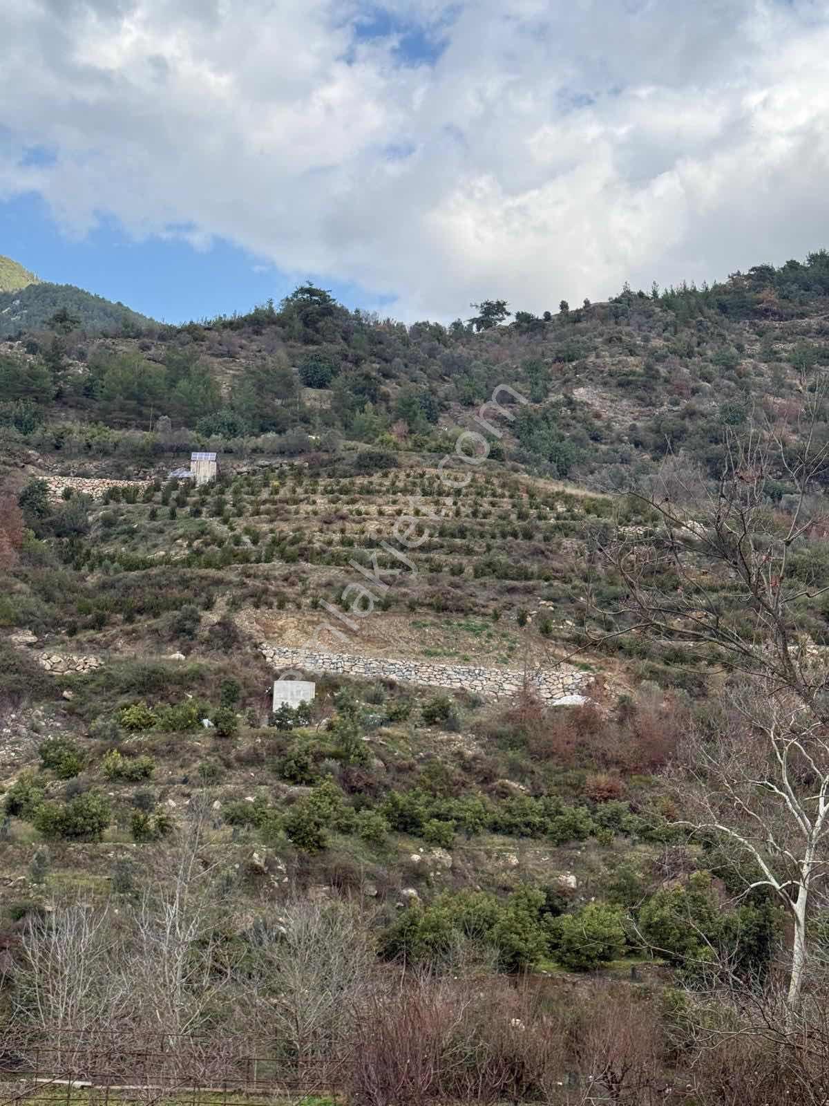 Gümüşgöze Satılık Arsa - Görsel 5