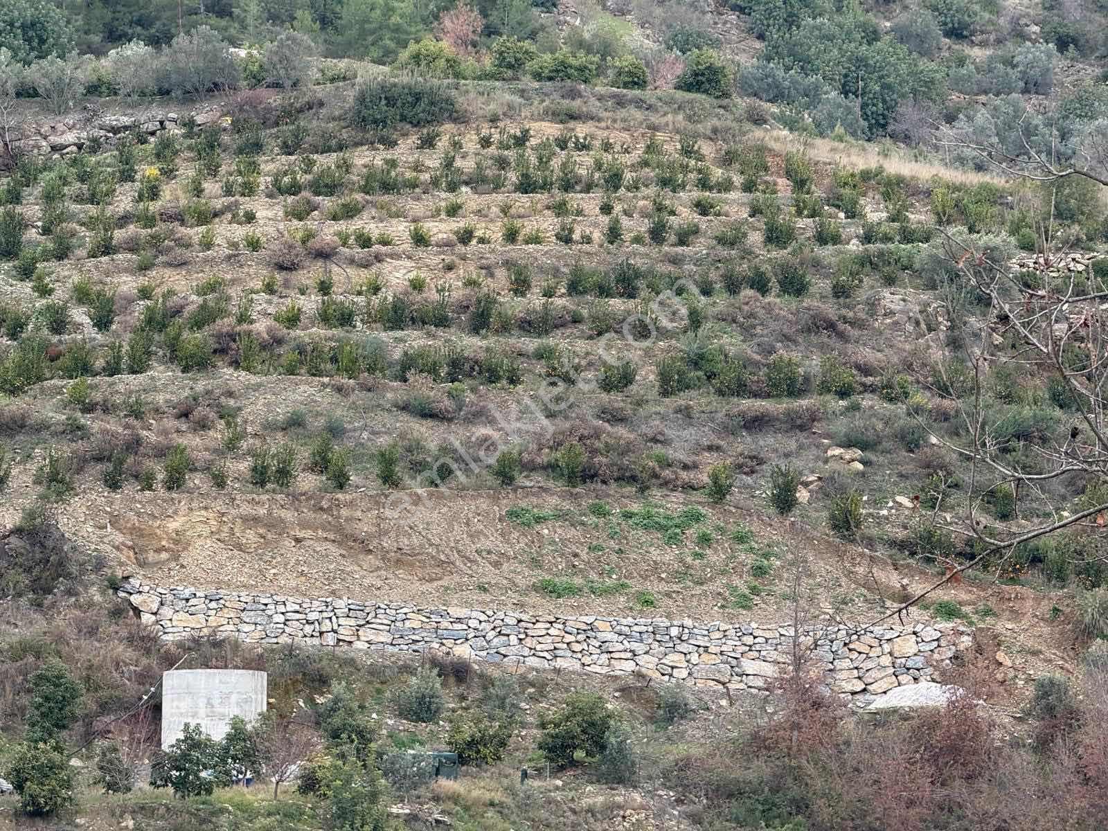 Gümüşgöze Satılık Arsa