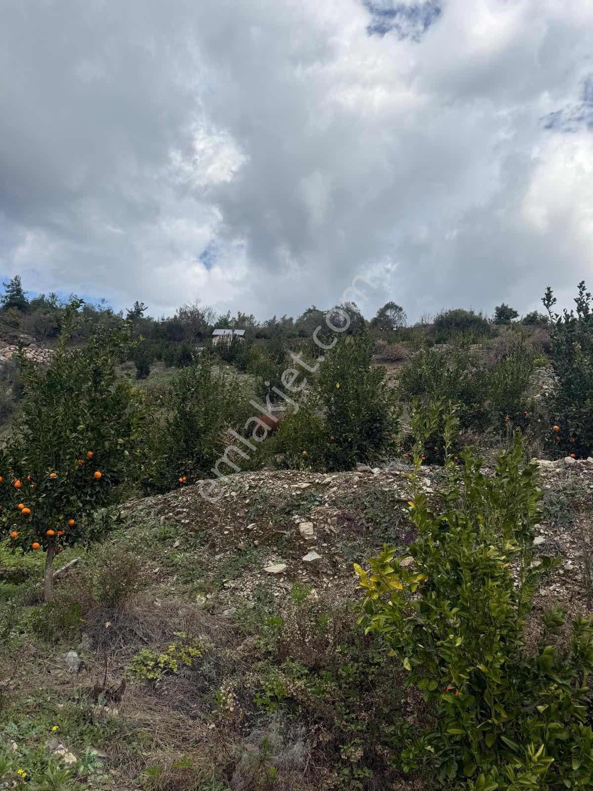 Gümüşgöze Satılık Arsa - Görsel 15