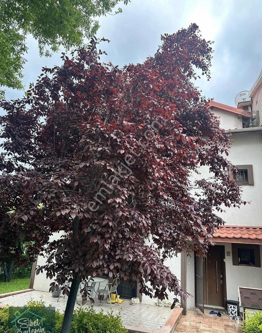 Yaşamkent İşköy Sitesinde En Büyük Bahçeye Sahip 4+2 Villa - Görsel 5