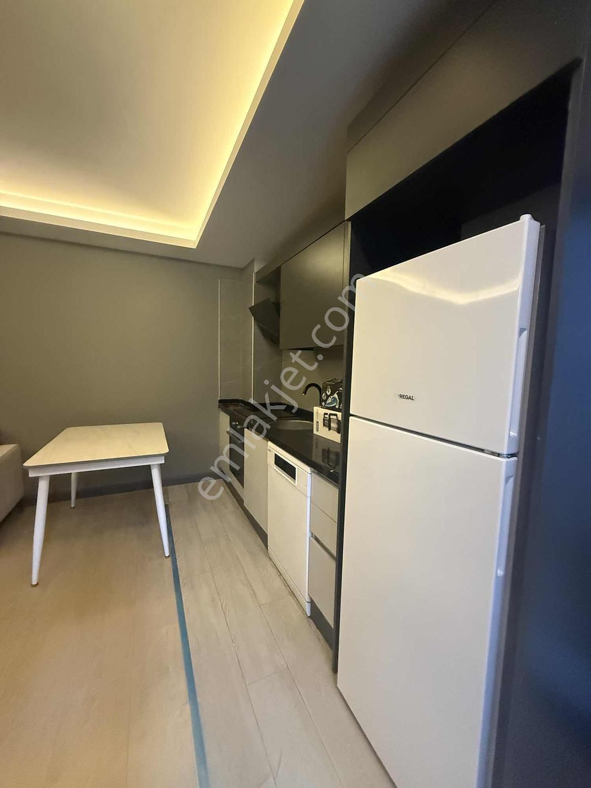 Altıntaş Ve Cadde'ye Yakın Şık 1 + 1 Önü Açık Daire - Görsel 12