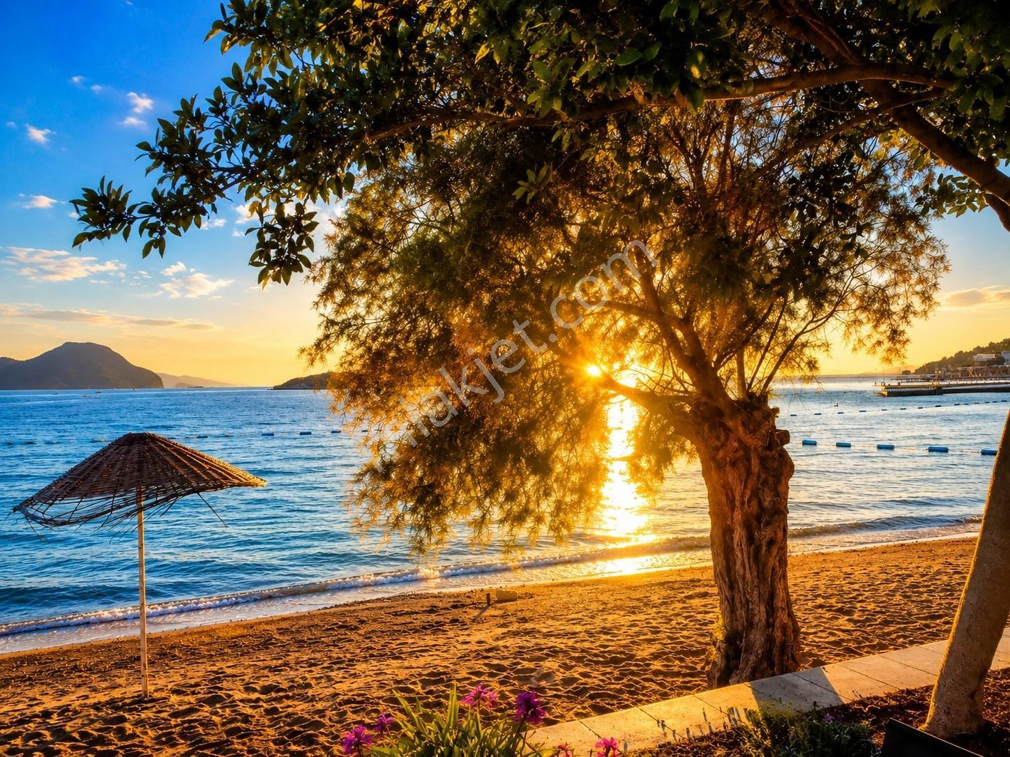 Bodrum'da Satılık Müstakil Ev Tek Katlı Büyük Bahçeli Yeni Villa - Görsel 32