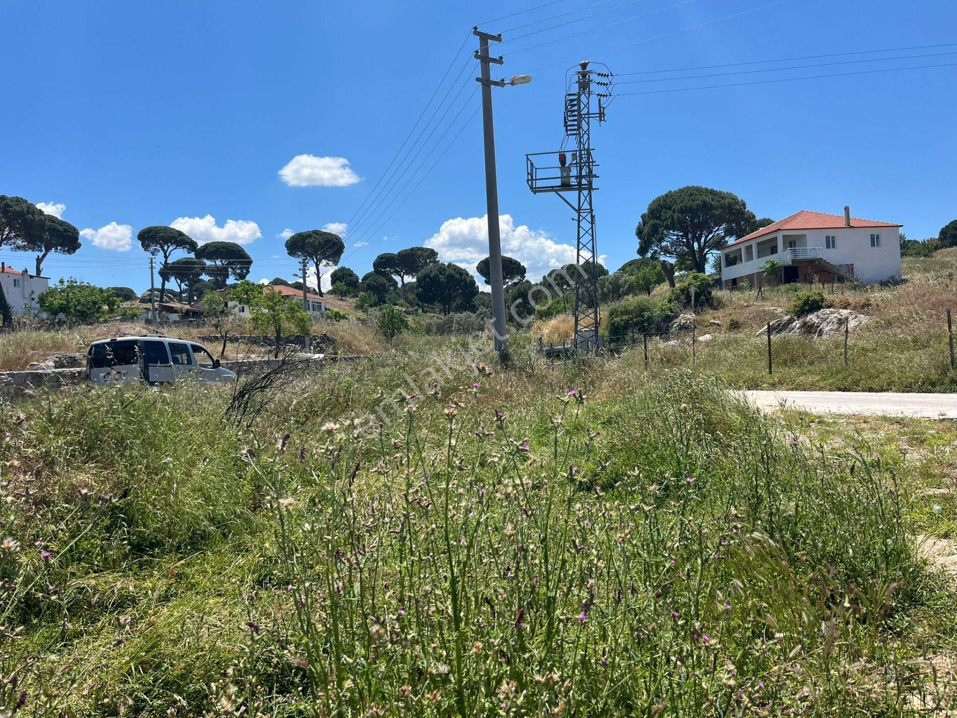 Milas Akkovanlıkta | Köy İçinde | 37 Metre Yol Cepheli Tarla - Görsel 19