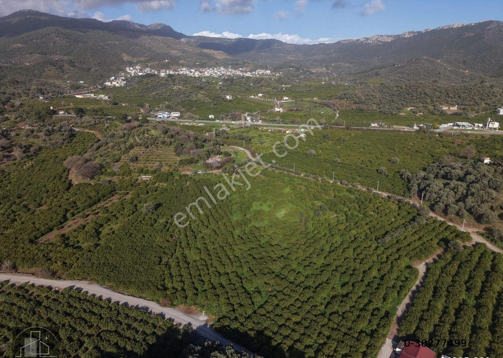 İzmir Menderes Özderede Satılık Denize Yakın Yatırımlık Arazi - Görsel 20