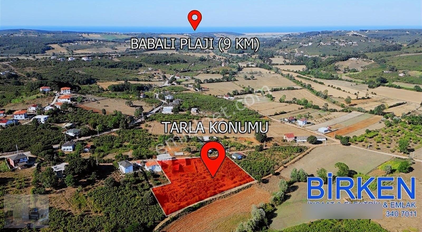 Kupon Fındık Bahçeli Ev Ahır Yola Cephe 2 Bağımsız Bölüm - Görsel 8