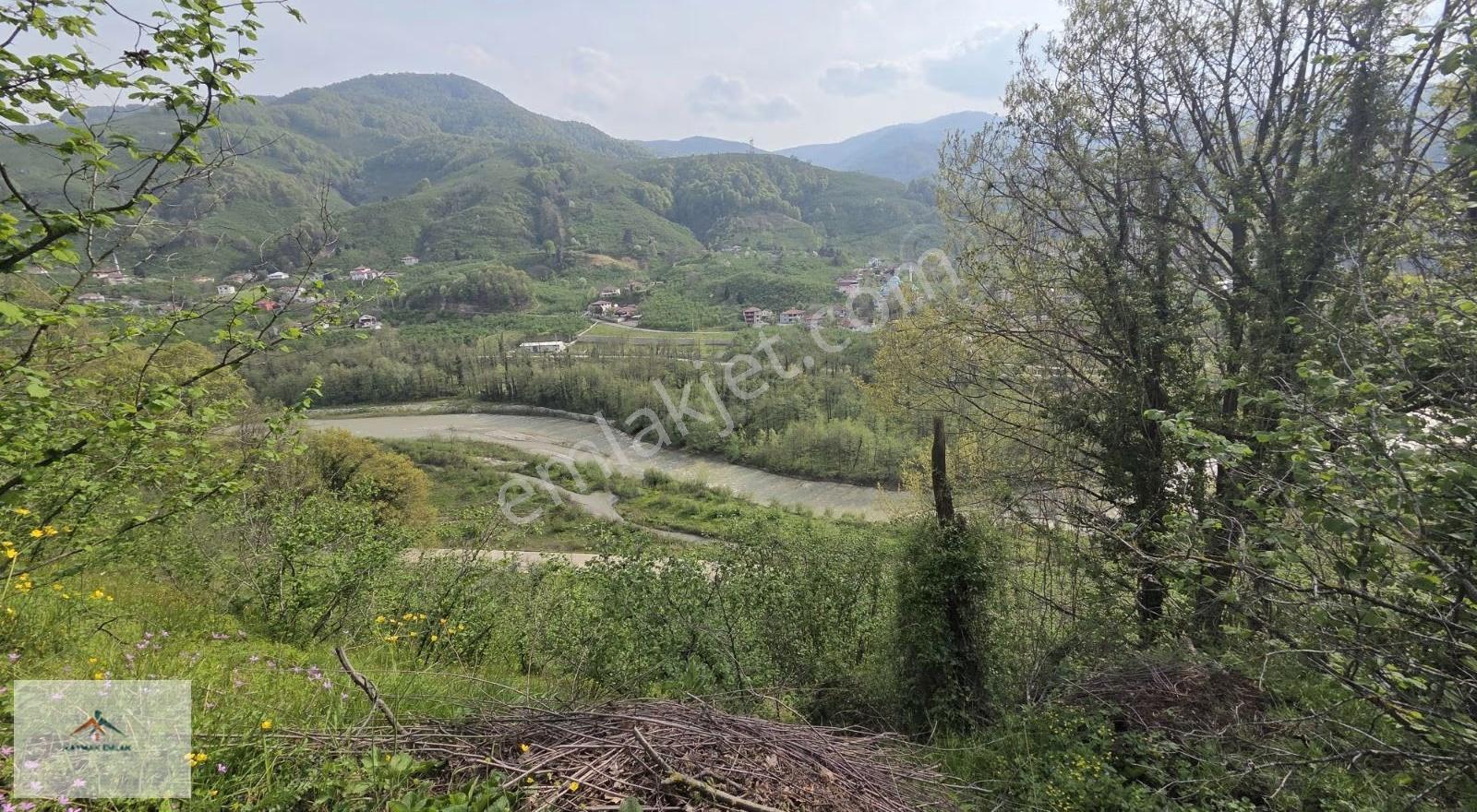 Kaymak Emlaktan Satılık Ana Yol Üzeri Manzaralı Fındık Bahcesi - Görsel 4
