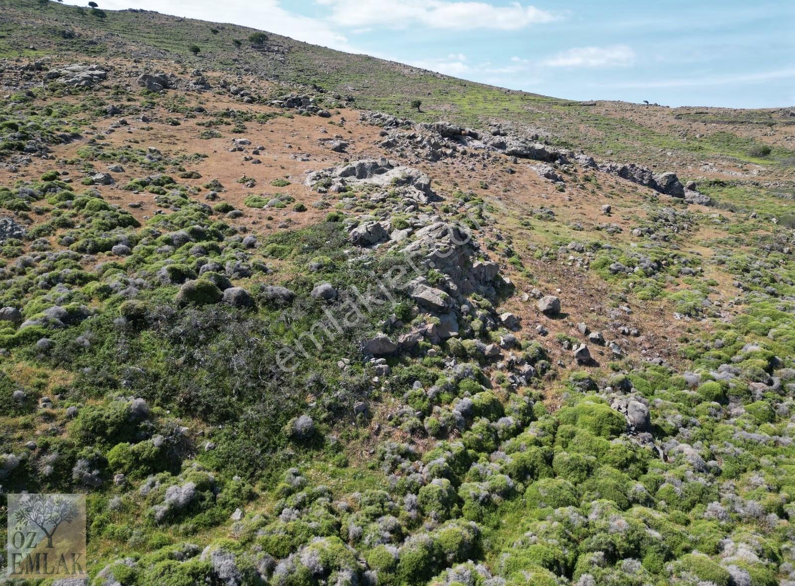 Gökçada Öz Emlak'tan Güzelcekoy'da Panoramik Deniz Manzaralı T. - Görsel 12