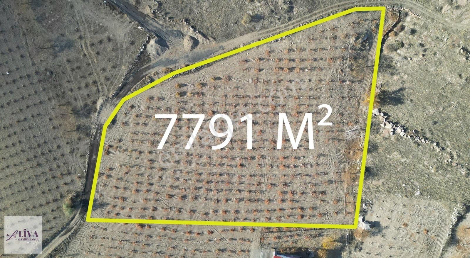 Liva'dan İncesu Hamurcu'da 7791 M² Harika Konumda Bağ - Görsel 9