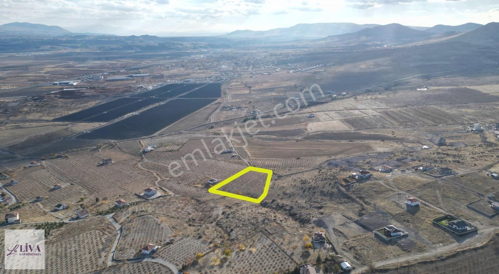 Liva'dan İncesu Hamurcu'da 7791 M² Harika Konumda Bağ - Görsel 4