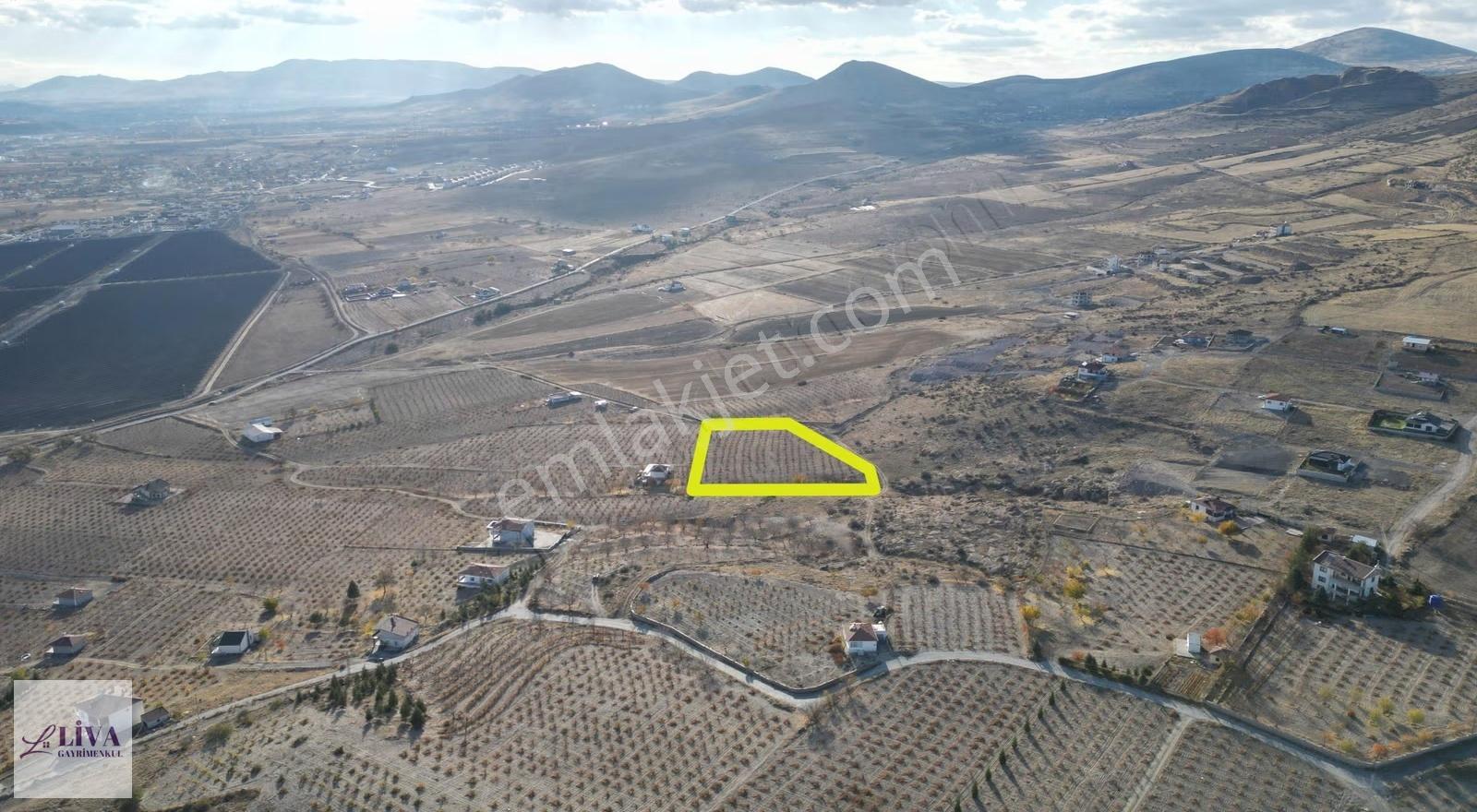 Liva'dan İncesu Hamurcu'da 7791 M² Harika Konumda Bağ - Görsel 8