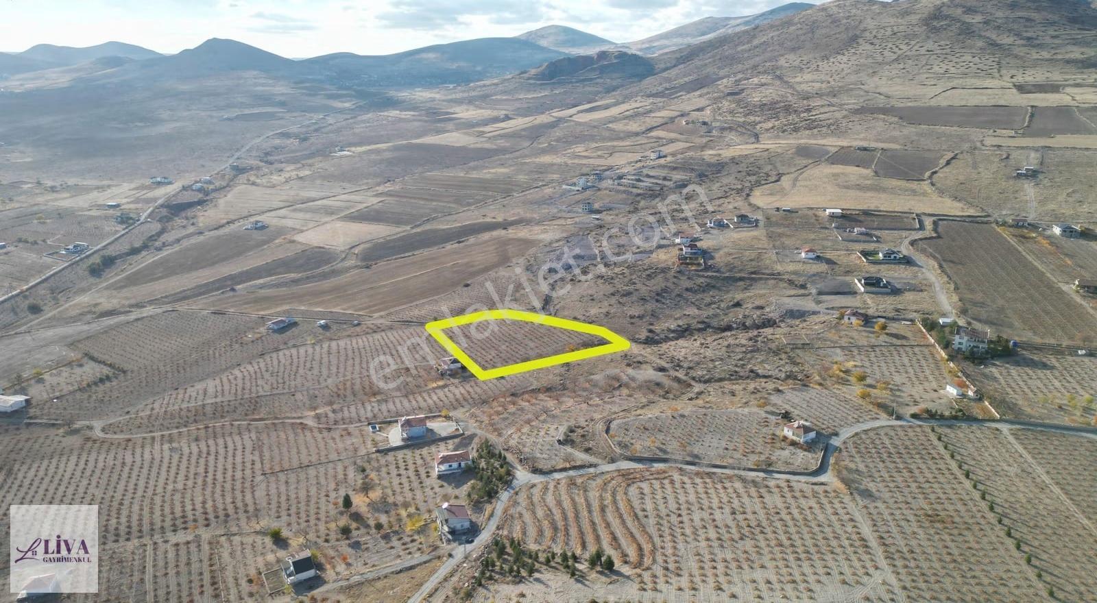 Liva'dan İncesu Hamurcu'da 7791 M² Harika Konumda Bağ - Görsel 11