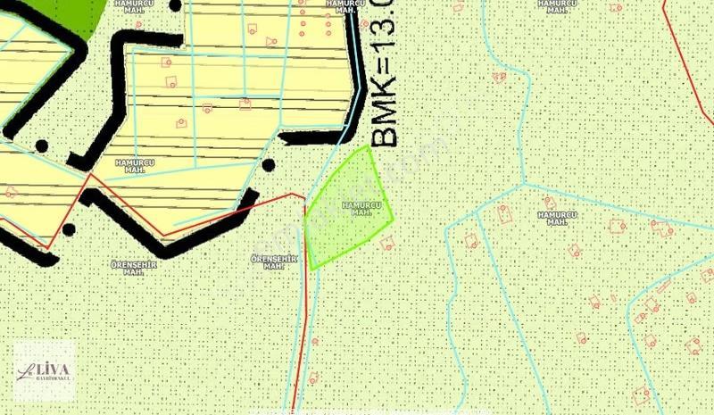 Liva'dan İncesu Hamurcu'da 7791 M² Harika Konumda Bağ