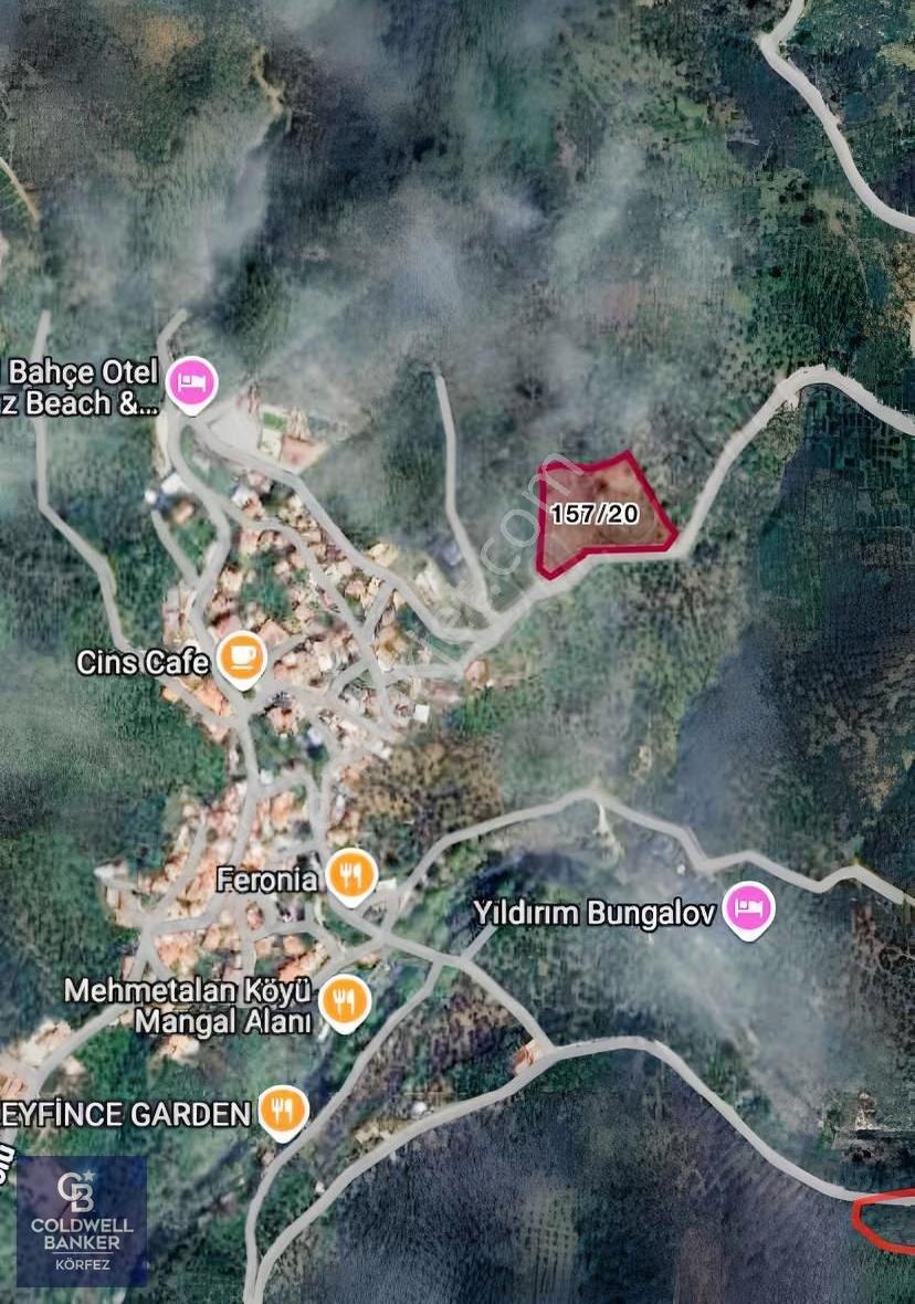 Mehmetalan Köyü'nde İmara Çok Yakın Deniz Manzaralı Zeytinlik - Görsel 5