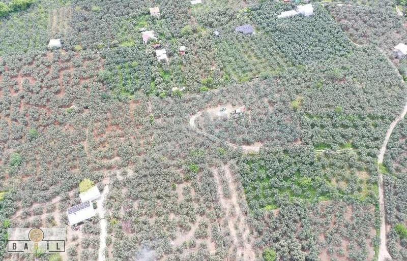 Apostol Mevkiinde Deniz Manzaralı Villalık Zeytinlik - Görsel 10