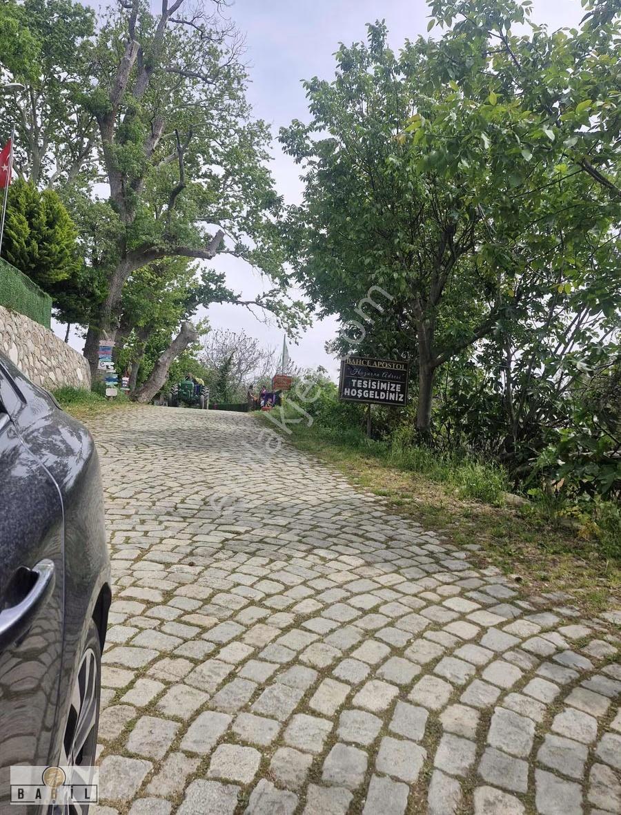 Apostol Mevkiinde Deniz Manzaralı Villalık Zeytinlik - Görsel 5