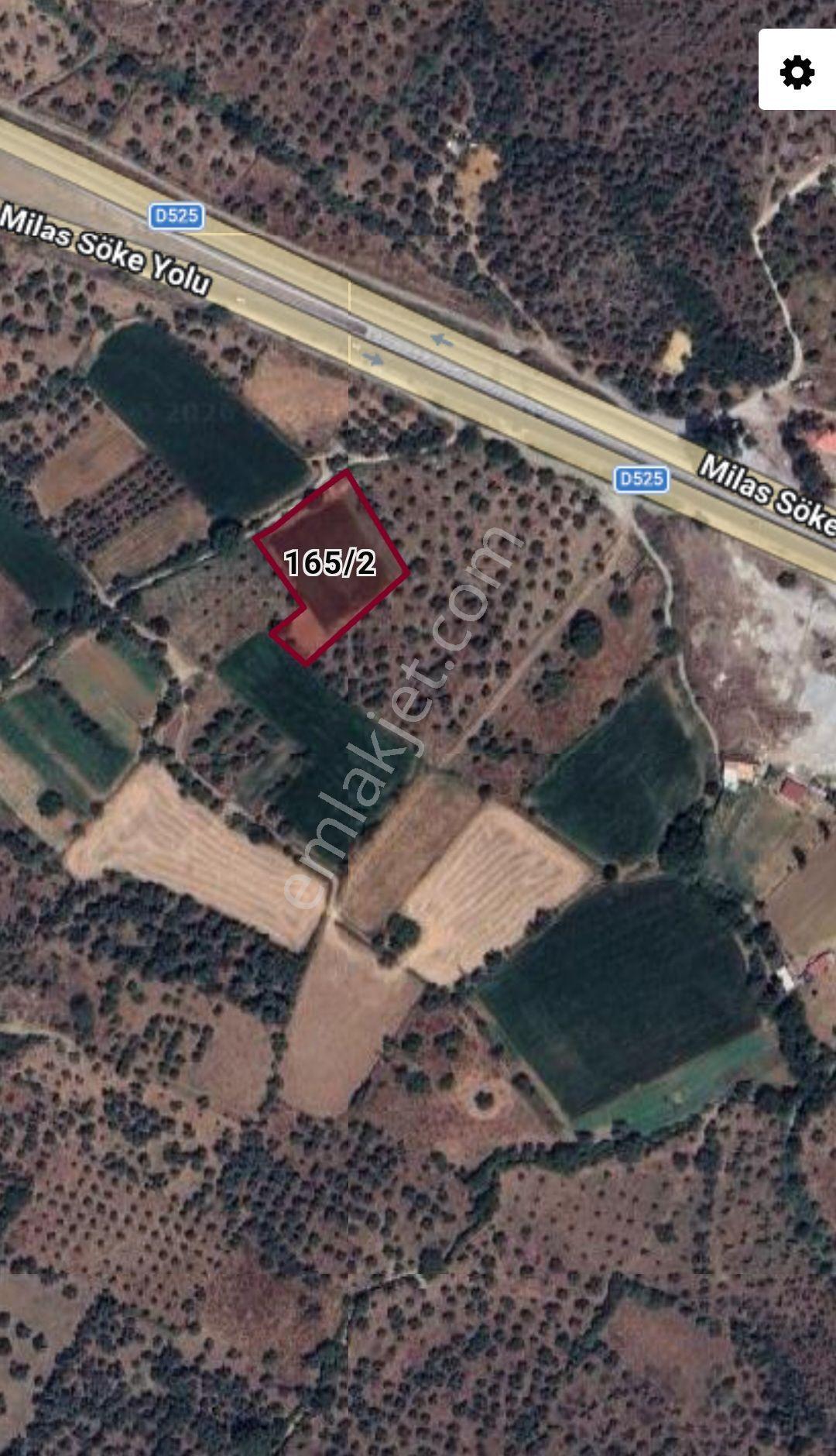 Milasda Bodrum Yoluna İkinci Parselde 3250 M2 Satılık Tarla - Görsel 18
