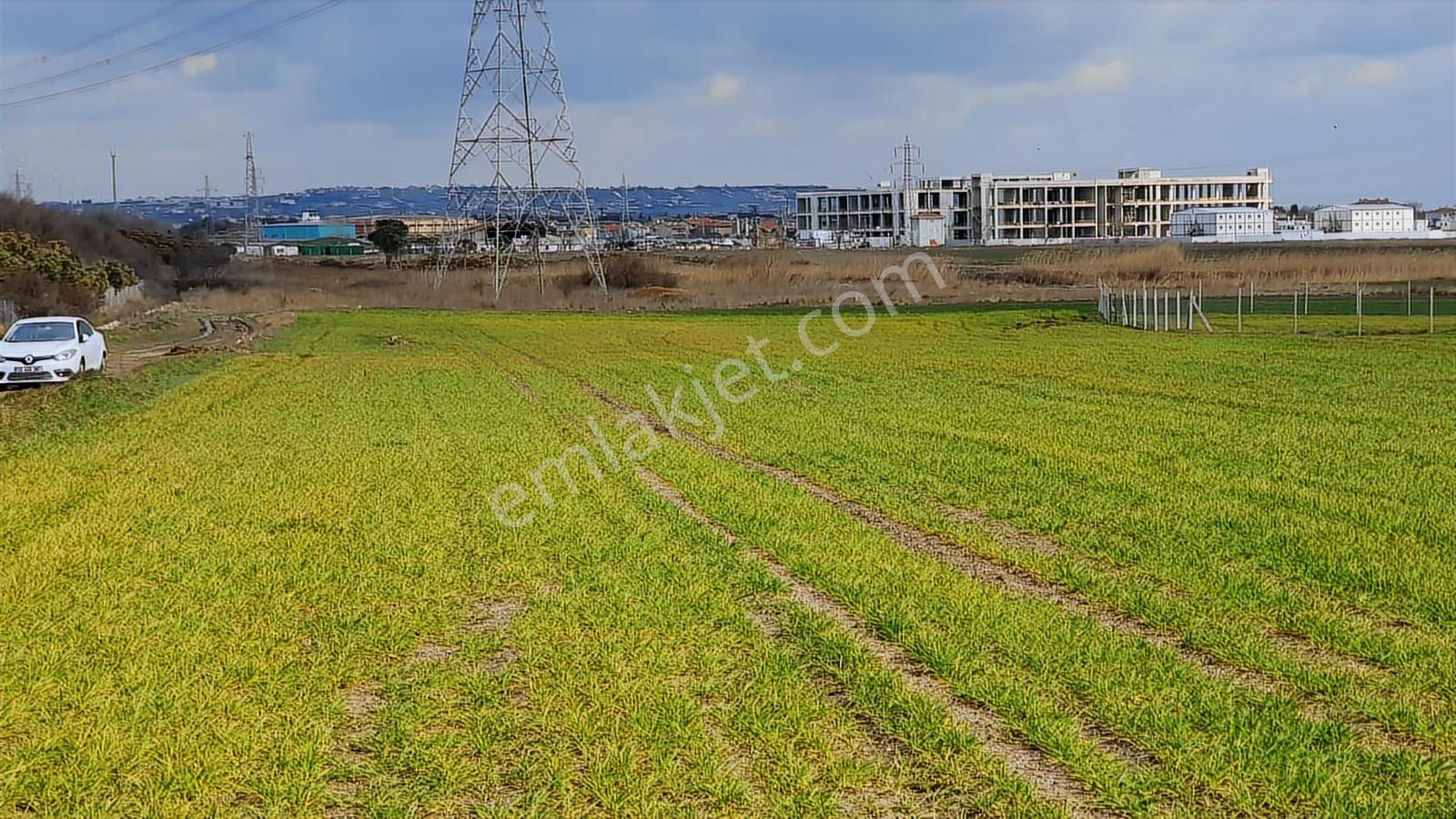 Silivri Kavaklıda Satılık Kupon Arsa - Görsel 6