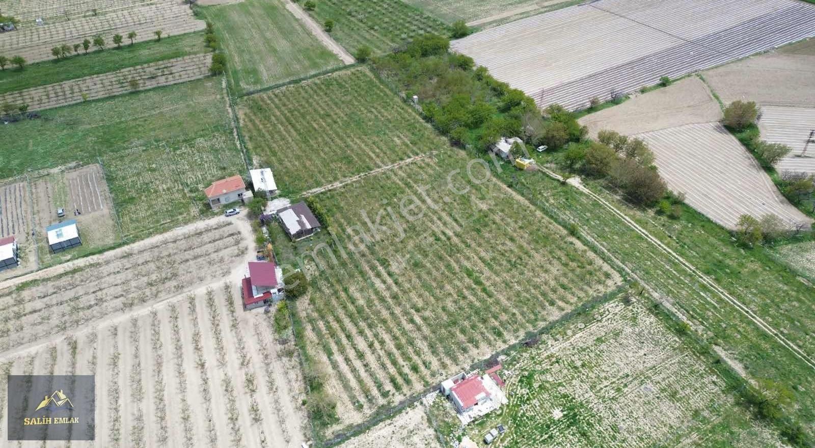 Salih Emlak'tan Sazlıca'da 12.000 M2 Bakımlı Şeftali Bahçesi - Görsel 15