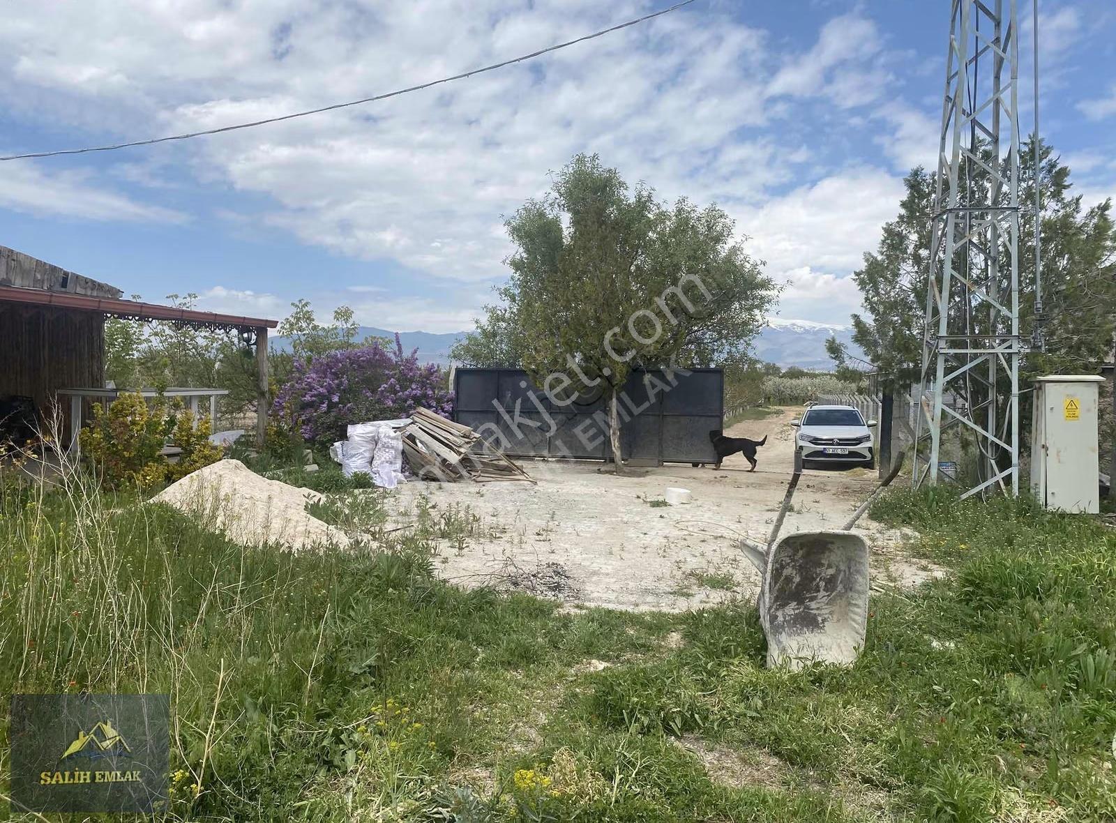 Salih Emlak'tan Sazlıca'da 12.000 M2 Bakımlı Şeftali Bahçesi - Görsel 33